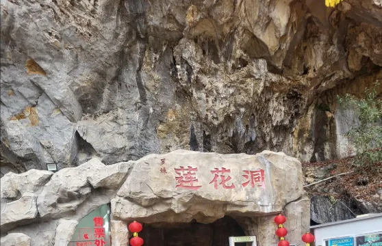 廣西百色羅妹蓮花洞+大石圍天坑羣+浩坤湖一日遊可中英文服務