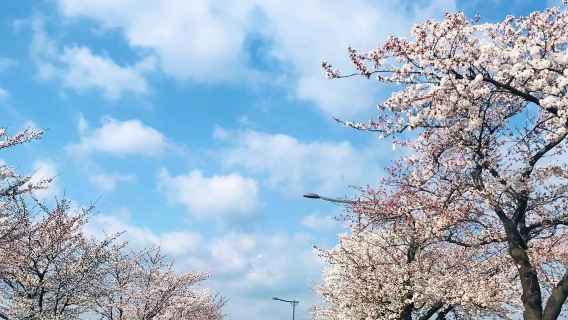 韓國首爾江陵鏡浦臺文化湖景之旅 傳統韓屋、亭台樓閣、湖泊與海