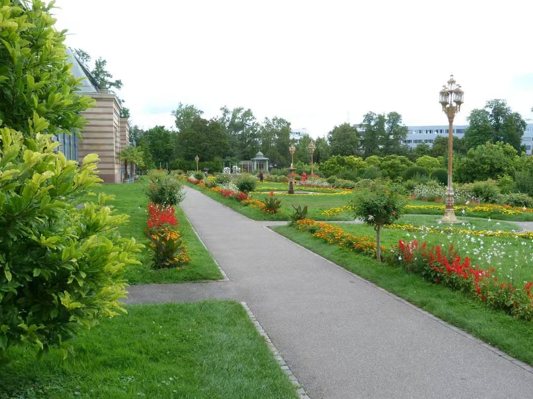 University of Hohenheim + Wilhelma - Zoological-botanical garden + State Museum of Natural History Stuttgart 1-day tour