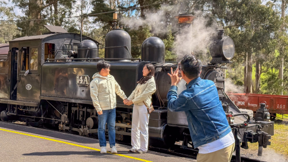 Melbourne Puffing Billy Railway + Yarra Valley Day Tour with City Transfers