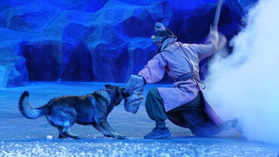 [6-Person Premium Group] Emperor Qinshihuang's Mausoleum Site Museum + Lishan Garden + Legend of Camel Bell Day Tour