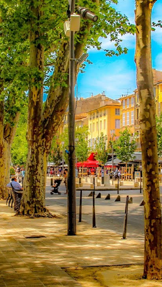 1-day tour to Marseille + Provence + Aix-en-Provence + Cassis [Private Route I Chinese-English Guide]