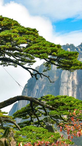 Classic 1-day Tour of Huangshan Scenic Area (Including Cable Car & Scenic Bus + English/Chinese Join-in Tour/Private Guided Tour)