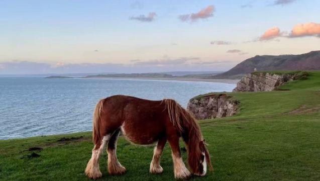 英國卡地夫周邊遊 - 斯旺西【多地出發、不含門票】