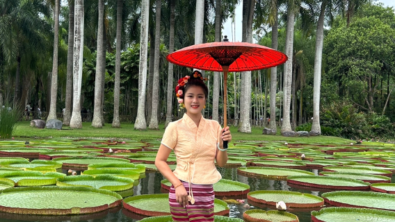 Xishuangbanna Tropical Botanical Garden (West District) + Dai Ethnic Garden Private Day Tour | Pure Sightseeing & Giant Water Lily Experience