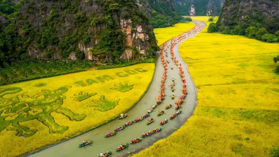 Fra Hanoi: Ninh Binh Limousine Bus | Luksus dagstur: Hoa Lu - Tam Coc - Hang Mua