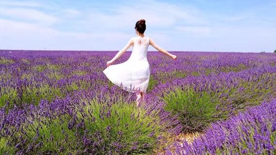 Lawatan Sehari Lavender Provence Selatan Perancis 2-8 Orang | Sault, Roussillon, Gordes, Fontaine-de-Vaucluse