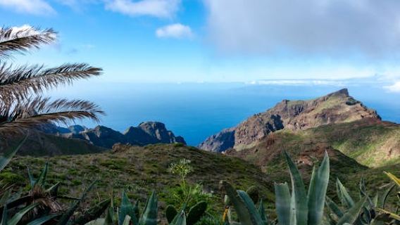 Tour guidato di un'intera giornata ai segreti nascosti del nord-ovest di Tenerife