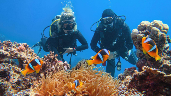 Sharm dykkeeventyr┃inkluderer hoteltransport┃inkluderer frokost┃PADI-instruktør