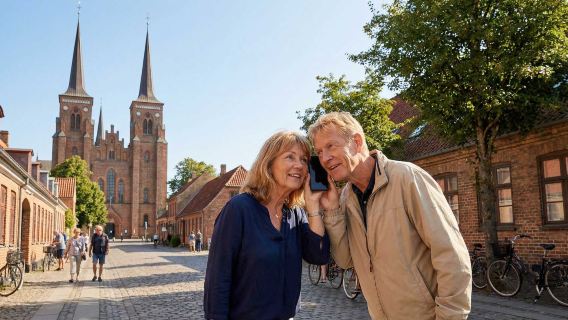Passeio de Áudio em Roskilde: Ecos de Catedrais, Fontes e Espíritos