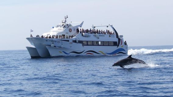 Torrevieja: Boat Excursion to Tabarca with Underwater Vision