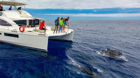 All Inclusive Whale and Dolphin Watching Luxury Tour