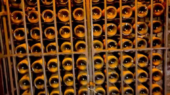 Wine Tour: On the Way to Chateauneuf du Pape