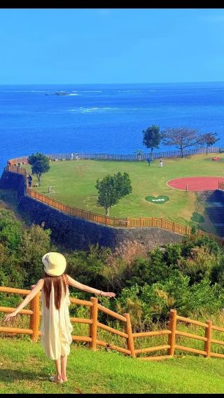Japan Okinawa + Cape Chinen + Mibaru Beach + Senaga Island + Naminoue Shrine + Kokusai-dori private charter 1-day tour