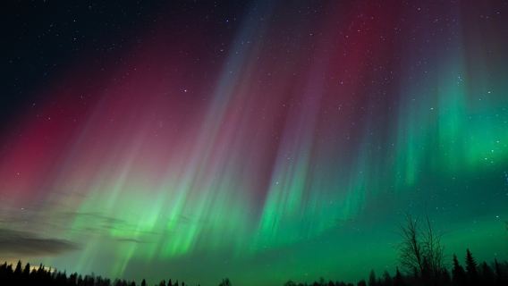 Finnish northern lights night tour | professional aurora hunter guide | high success rate | free digital photos