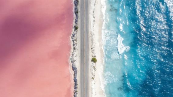 Excursión de un día a Cancún + Playa Las Coloradas + santuario de flamencos + baño de lodo maya natural