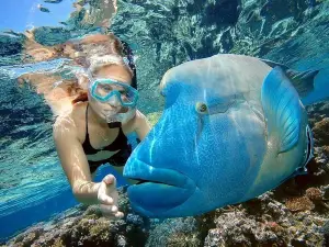 Adventure Snorkeling Full Day Boat Trip With Water Sports and Lunch - Hurghada