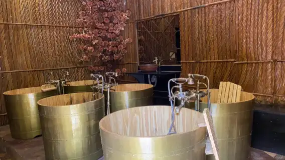 สปาบ่อโคลน Versailles Mud Bath Spa ที่ฟูก๊วก [เลือกได้ว่าจะไปเองหรือมีบริการรับส่ง]