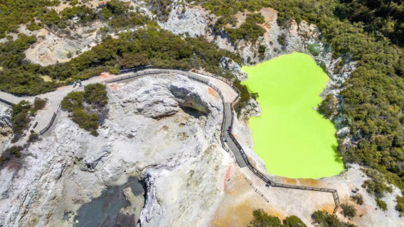 Wai-O-Tapu Thermal Wonderland in Rotorua, New Zealand (Wai-O-Tapu Thermal Park + Artist's Palette + Lady Knox Geyser) - Rotorua's iconic geothermal attraction