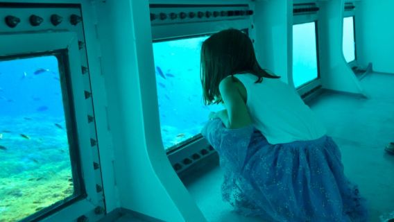 From Cala Bona: East Coast Glass-Bottom Boat Trip