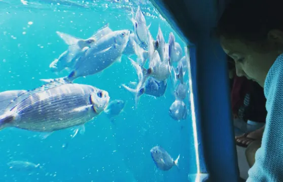 Cap Norfeu：從玫瑰園或聖瑪格麗塔出發的2小時玻璃底船之旅