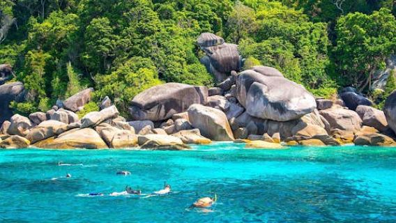 Snorkelling adventure at Koh Nanyuan and Koh Tao from Koh Phangan