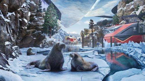 Abu Dhabi Attraction: Sea World Abu Dhabi Day Tours 1