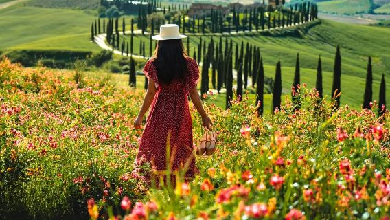 Lawatan Sehari di Tuscany, Itali 2-8 Orang (Pakej Kecil Bahasa Cina): Val d'Orcia + Siena + Pienza