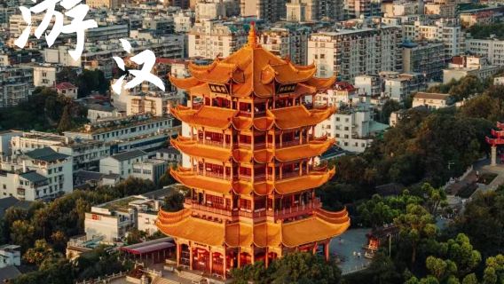夜上黃鶴樓+武漢大學+東湖夜遊[6內人小團】