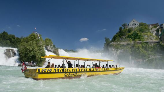Rhine Falls & Stein am Rhein: Transport from Zurich