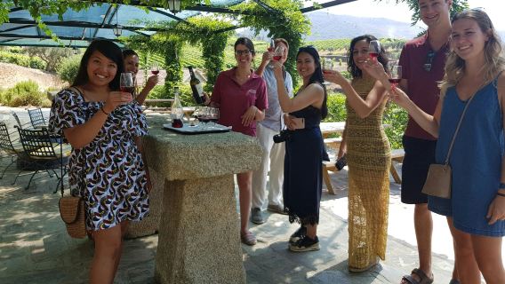 Douro Valley: Wine Tour + Lunch from Porto