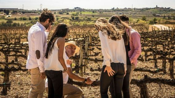 Barcelona: Small-Group Sailing Experience + Winery Visit & Tasting