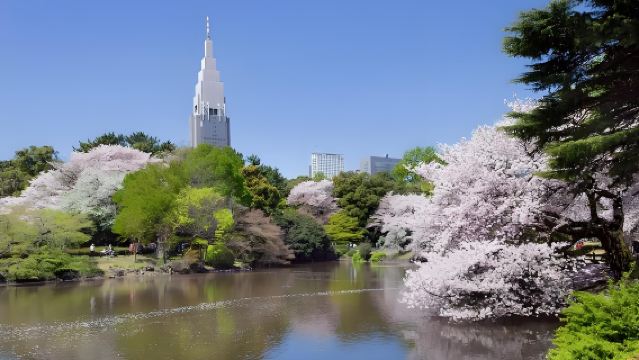 Tokyo Haneda Airport pickup/drop-off + Shinjuku Gyoen National Garden + Shibuya Center-Gai half-day tour