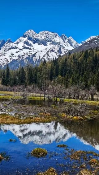Siguniang Mountain Scenic Area Private Tour