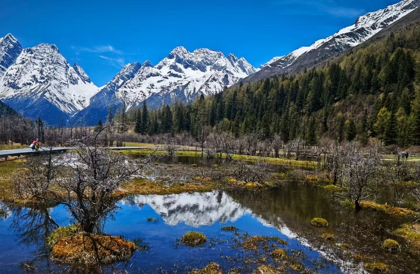 Siguniang Mountain Scenic Area Private Tour