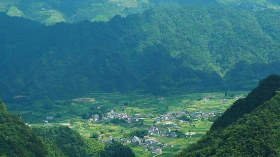 桃源日遊