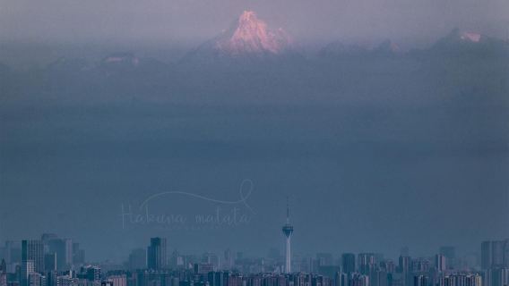 ChengduTravel Services