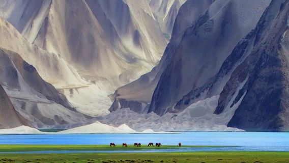 UrumqiTravel Services