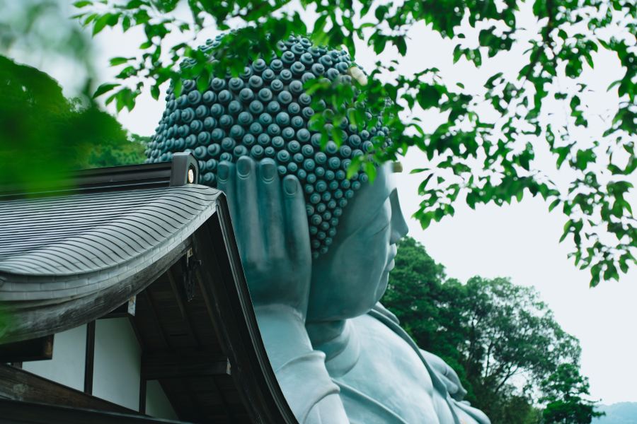 YokaBus Nanzoin Bronze Buddha and Itoshima Totoro Forest & Sakurai