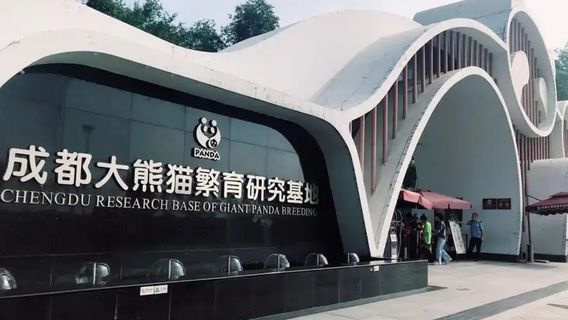 DujiangyanExperiences
