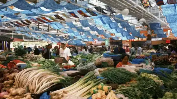 Kunming Old Town Half Day Private Tour