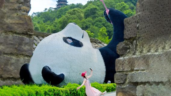 都江堰ワンデーツアー【2~8名様の少人数ツアー・料金込み|中国語または英語ガイド選択可能】