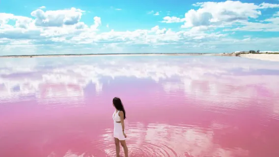 perjalanan satu hari Danau Pink Cancun + Teras [Tanpa Dompet]|Akses langsung ke tempat foto| [Keberangkatan setiap hari]