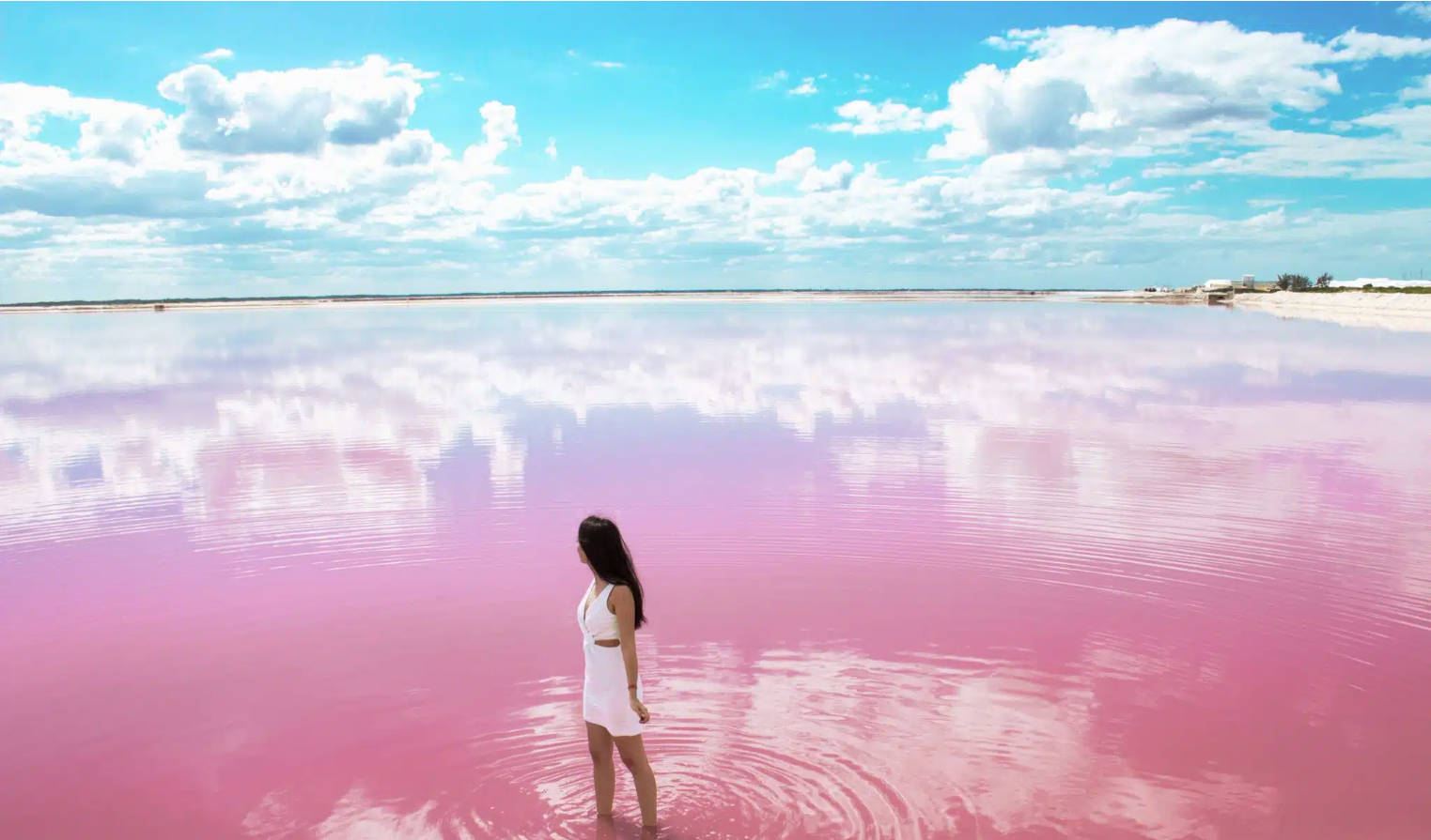 칸쿤 라스 콜로라다스+천정 단체 당일 치기 여행 [지갑 없이] |직접 촬영 스팟으로|매일 출발]