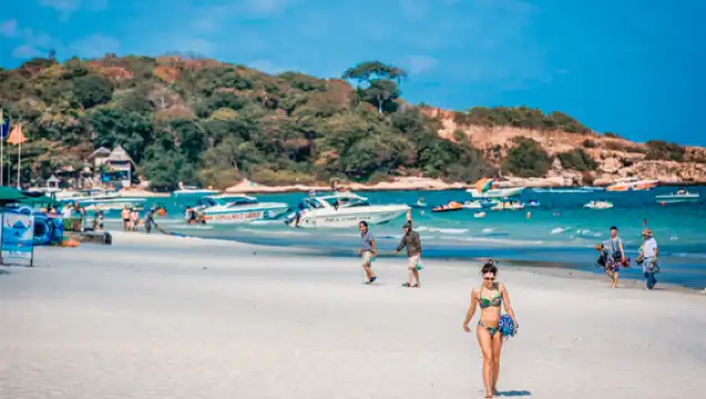 【來回接送|海釣|浮潛|【釣魷魚】泰國芭提雅沙美島薩美山一日遊