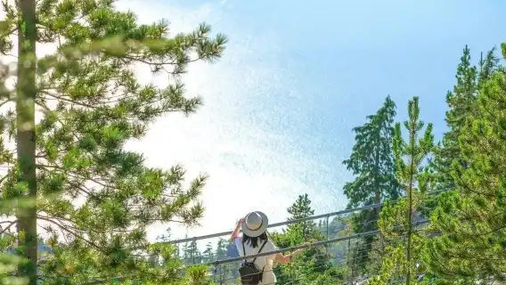 溫哥華出發Squamish小鎮+吊橋海天纜車包車一日遊