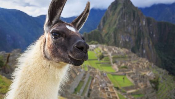 UrubambaTours