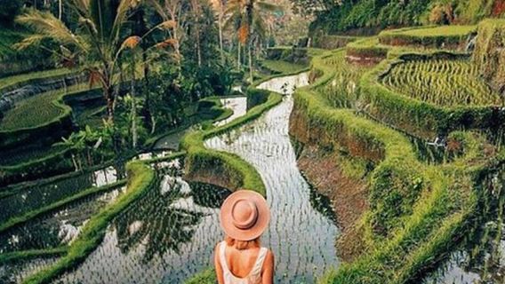 Ubud: Waterfalls, Temple, and Rice Terrace Private Day Tour