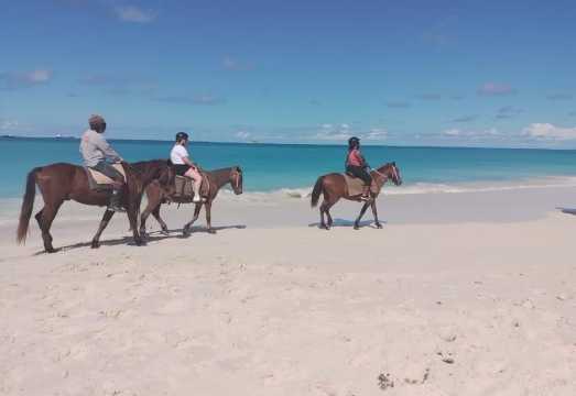 St. Johns: Horseback Riding Bareback Swim, &Fort James Beach