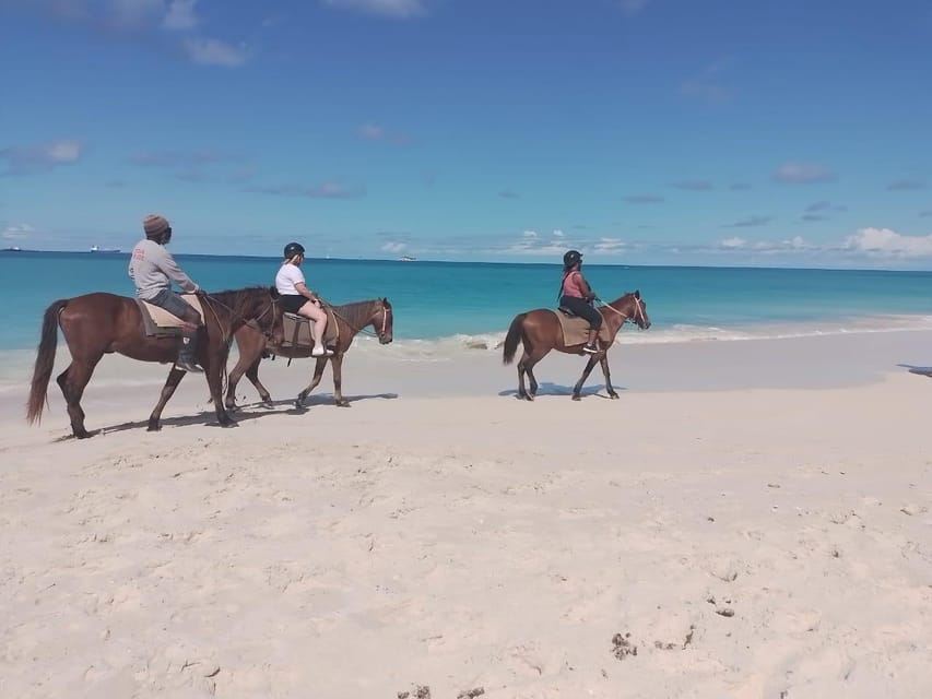 St. Johns: Horseback Riding Bareback Swim, &Fort James Beach